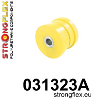 DP-STFX-031323A