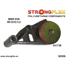 DP-STFX-031736A