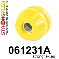 DP-STFX-061231A