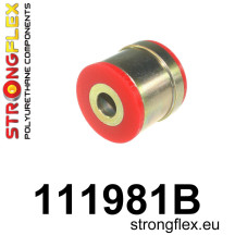 DP-STFX-111981B