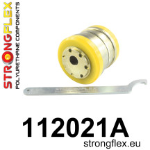 DP-STFX-112021A