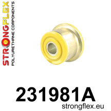 DP-STFX-231981A