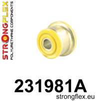 DP-STFX-231981A