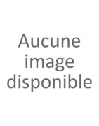 IV (20-) XE40